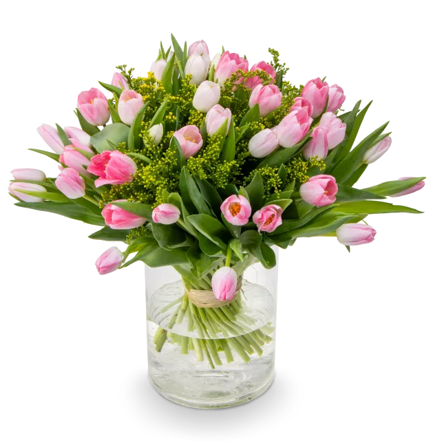 Kytice růžových tulipánů